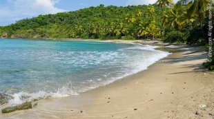 Dorothea Bay Dorothea Bay